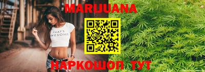 индика Мариинск