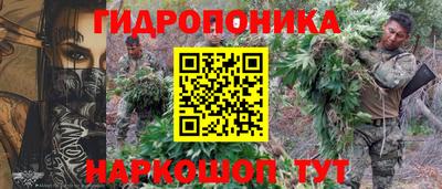 индика Мариинск