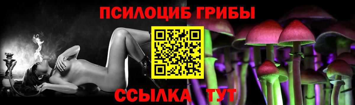 Псилоцибиновые грибы Magic Shrooms  Вход с VPN  Шебекино  дарнет шоп  Псилоцибиновые грибы MAGIC MUSHROOMS 